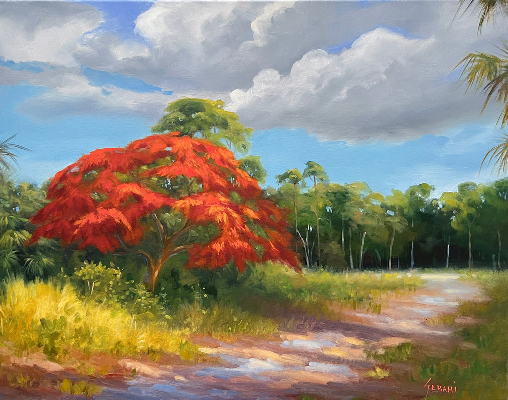 Florida Poinciana Trail Landscape. Original!