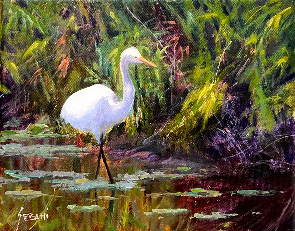 Egret Wading