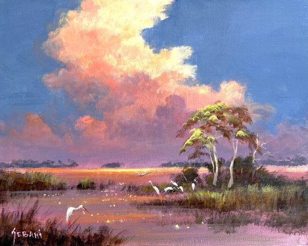 Florida Everglades Landscape