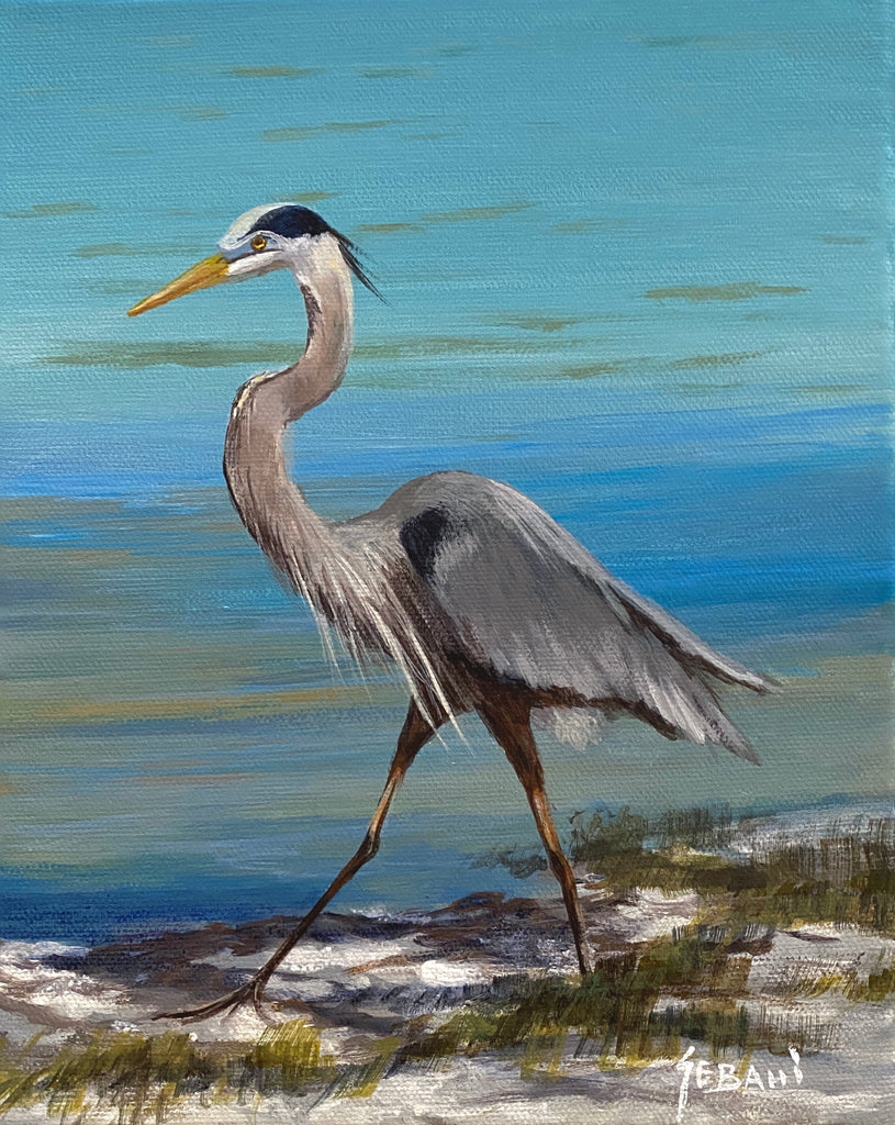 Blue Heron Florida Wildlife Portrait. Original!