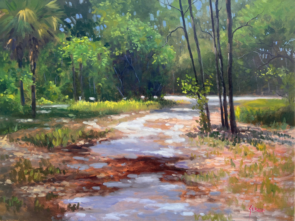 Florida Nature Trail Landscape. Original by Karim Gebahi