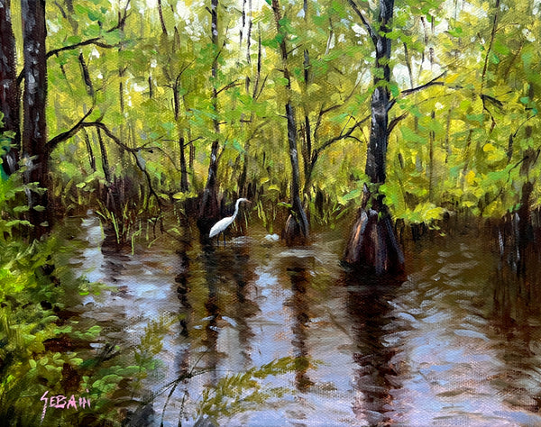 Florida Wetland Sanctuary and Wildlife Landscape. Original