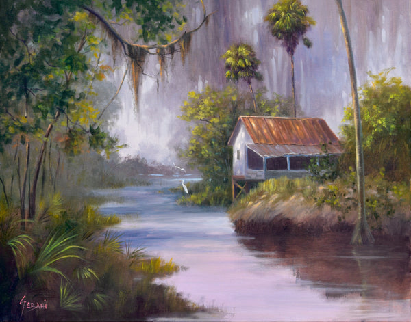 Florida Backcountry Swamp House