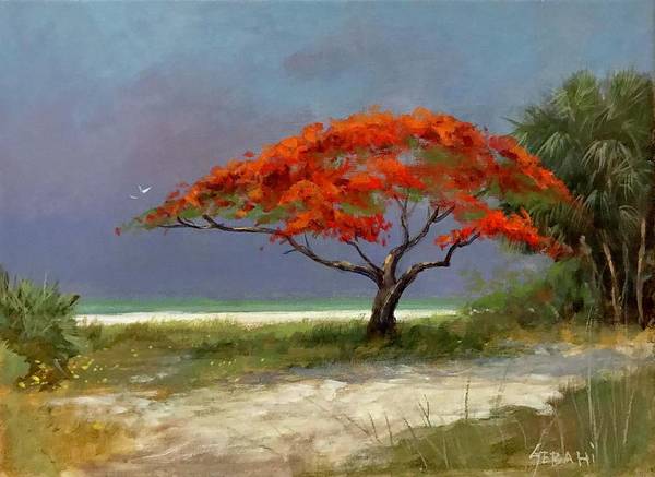 Royal Poinciana Landscape Art Print  - Art Print