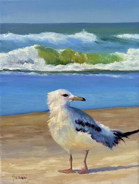 Seagull in the Sun Wildlife Art Print - Art Print