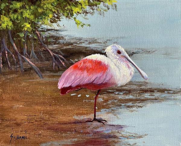 Spoonbill Wildlife Bird Art Print. - Art Print