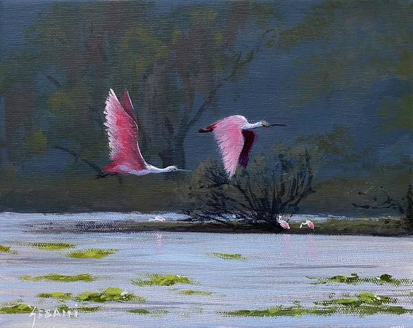 Spoonbills in flight wildlife art print  - Art Print