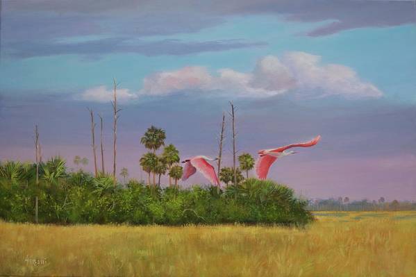 Spoonbills Wildlife Landscape Art Print  - Art Print