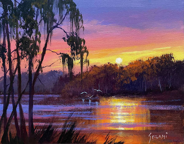 Sunset over Florida Cypress Lake Art Print  - Art Print