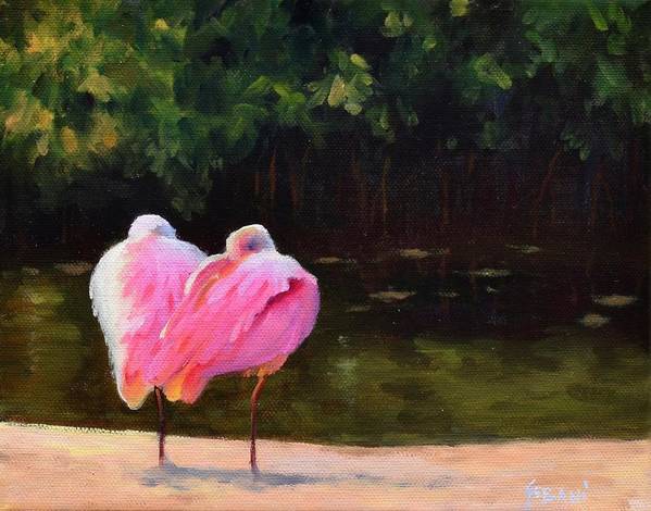 Two of a Kind Spoonbills Wildlife art print - Art Print